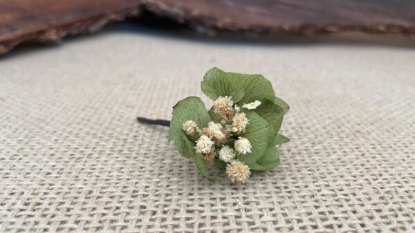 flores-sueltas-hortensia-preservada-verde